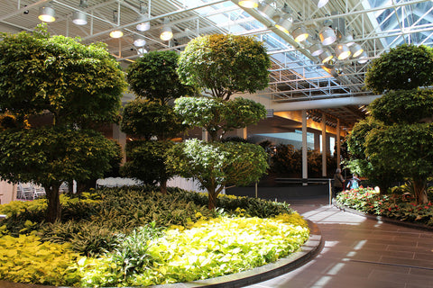 Devonian Gardens