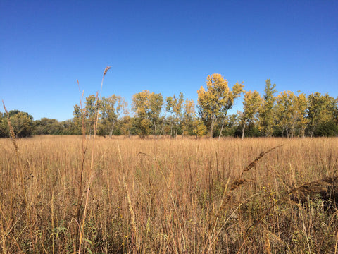 Great Plains Nature Center