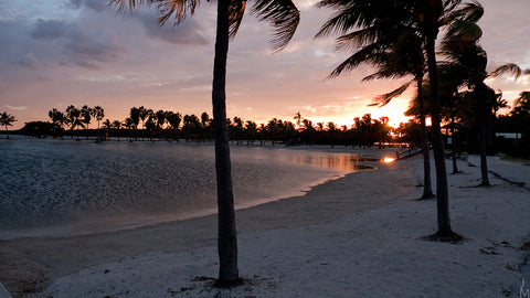 Matheson Hammock Park