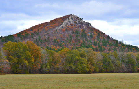 Pinnacle Mountain State Park