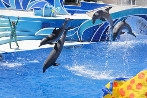 SeaWorld San Diego