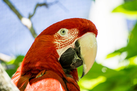 Sedgwick County Zoo