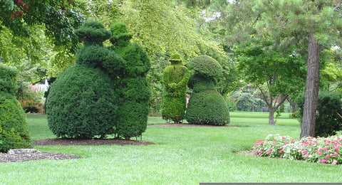 Topiary Garden