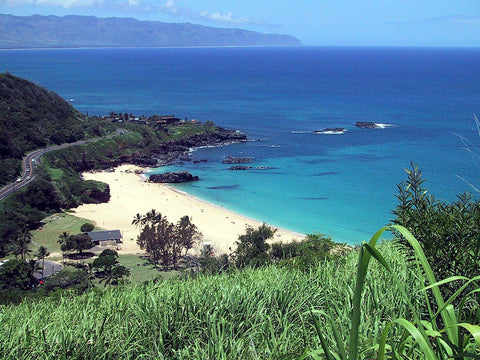 Waimea Bay