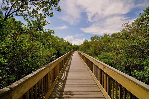 Weedon Island Preserve