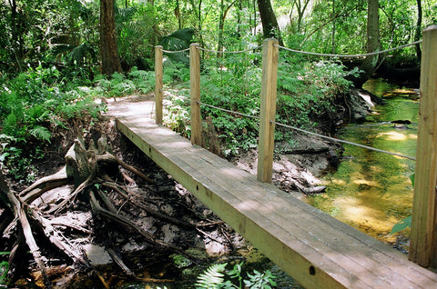 Jacksonville Arboretum