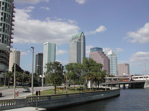 Bayshore Boulevard