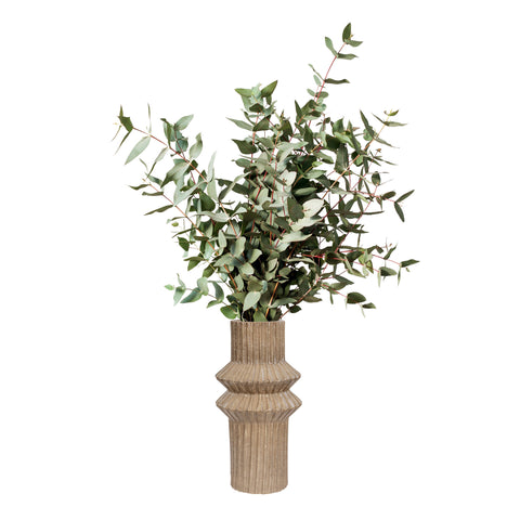 Varaluz handmade ceramic vase with a tall green plant inside
