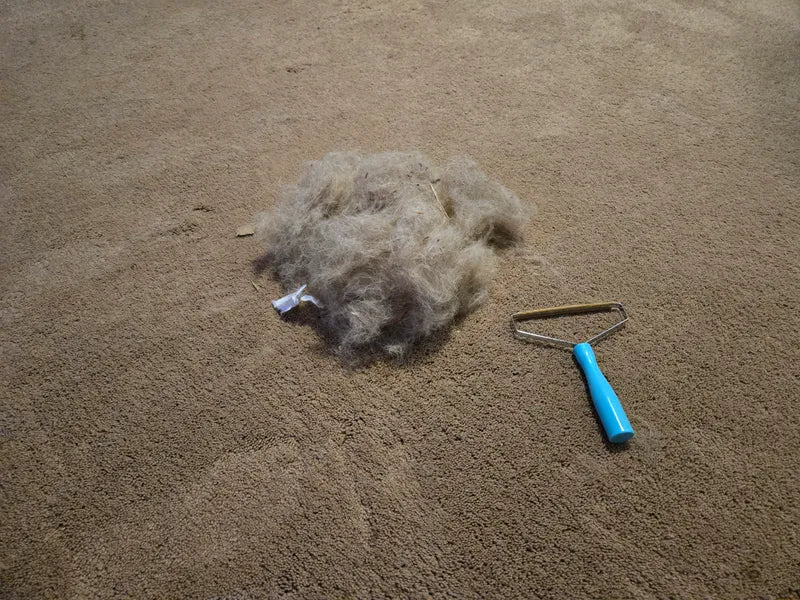 Customer result photo 6