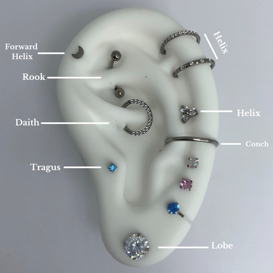 Ear Piercing Level Chart