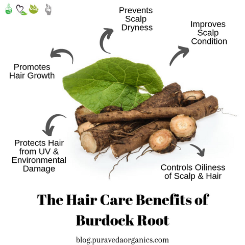 Benefits of Burdock Root for Hairs, Image taken using Yandex.com