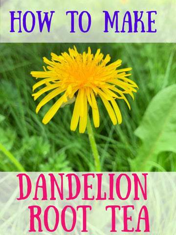 How to make Dandelion Root Tea, image taken using Yandex.com