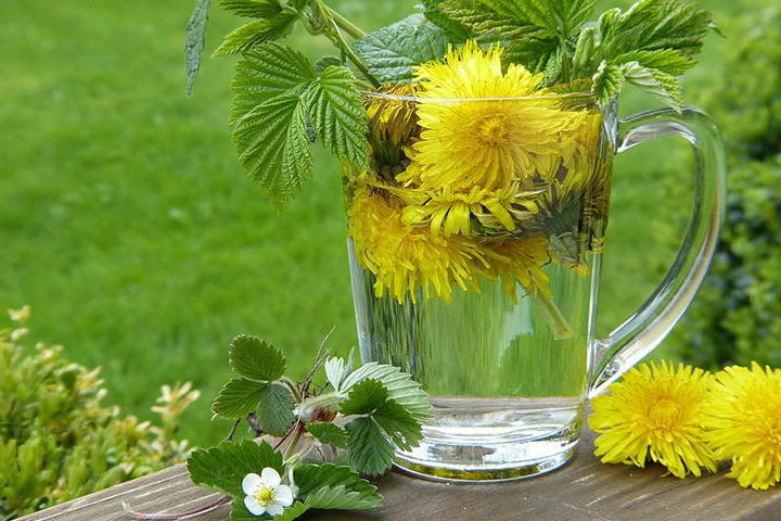 A few dandelion flowers and leaves soaking in a glass cup full of water on th edge of a table