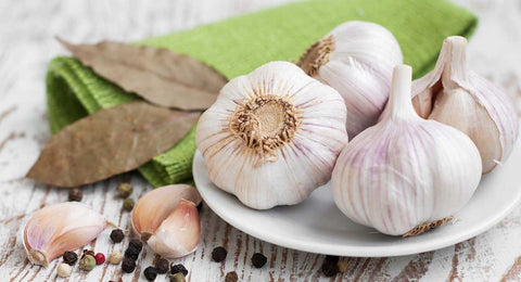 Garlic for Digestion, Image taken Using Yandex.com