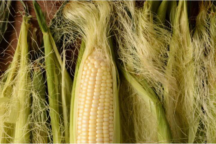 Corn silk