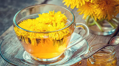 Dandelion Root Tea