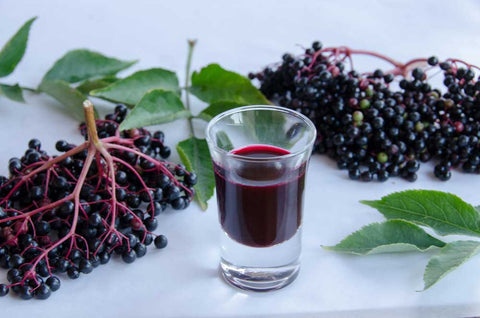 Elderberry Liqueur, Image taken using Yandex.com