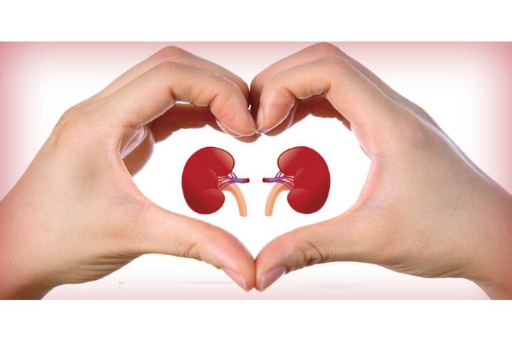 Healthy kidneys