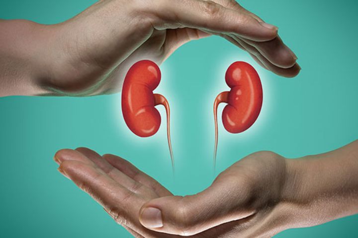 Maintaining healthy kidneys