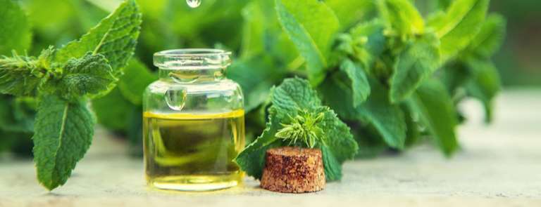 Peppermint Essential Oil