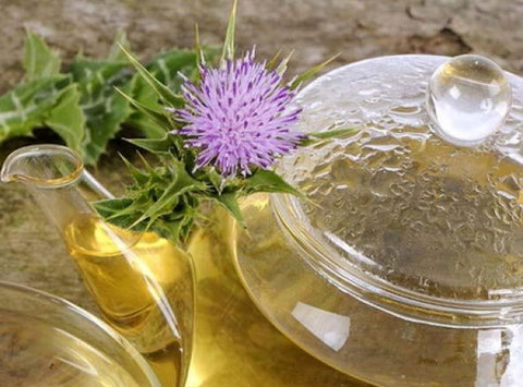 Milk Thistle Tea, image taken from Yandex.com