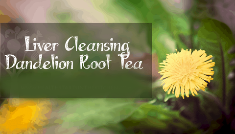 Dandelion Root Tea as Lever Cleanser, Image taken using Yandex