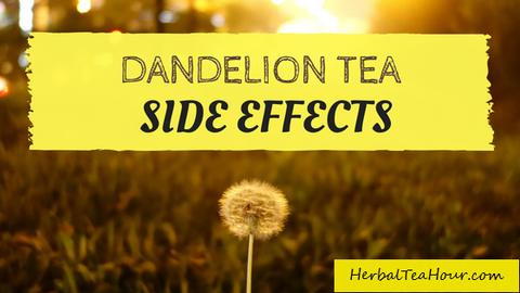 Dandelion Root Tea Side Effects, Image Taken Using Herbal Tea Hour