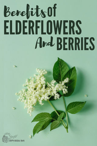 Elderflower and Elderberry Benefits, Image taken using Yandex.com