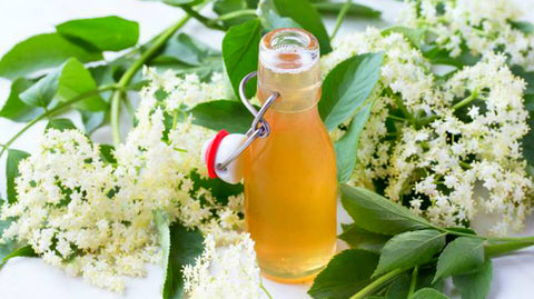 Elderflower Syrup, Image taken using Yandex.com