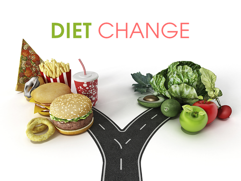 Change Diet, Image taken using Yandex.com