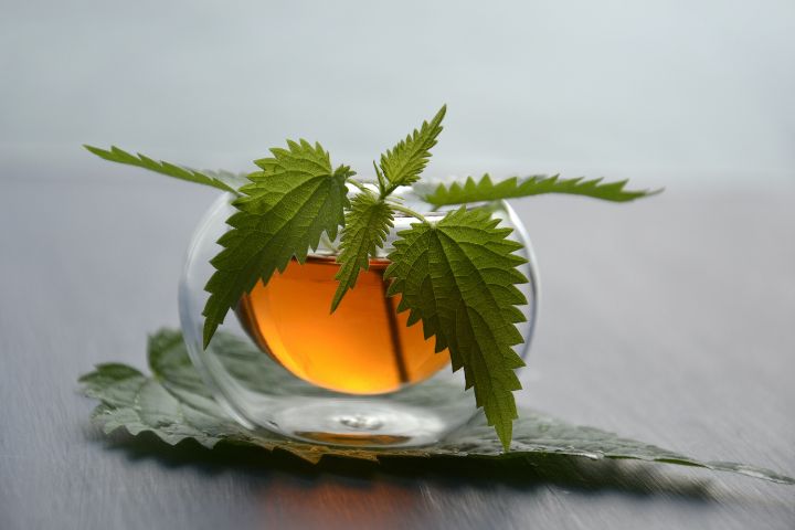 green-leaves-in-clear-glass-cup