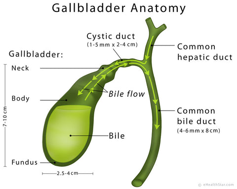 Gallbladder, Image taken using Yandex.com