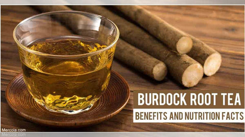 Burdock Root Tea Benefits, Image taken from Yandex.com