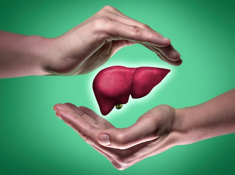 Protect Liver, Image taken using Yandex.com