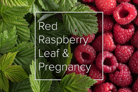 Red Raspberry Leaf Tea for Pregnancy, Image taken using Yandex.com
