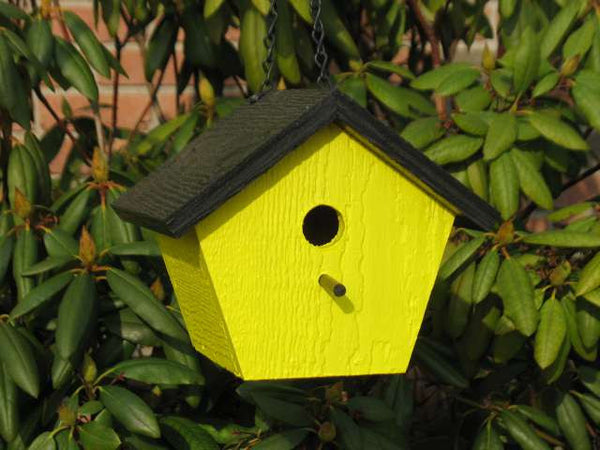 Shapz Birdhouse - Polygon – Backyard Life