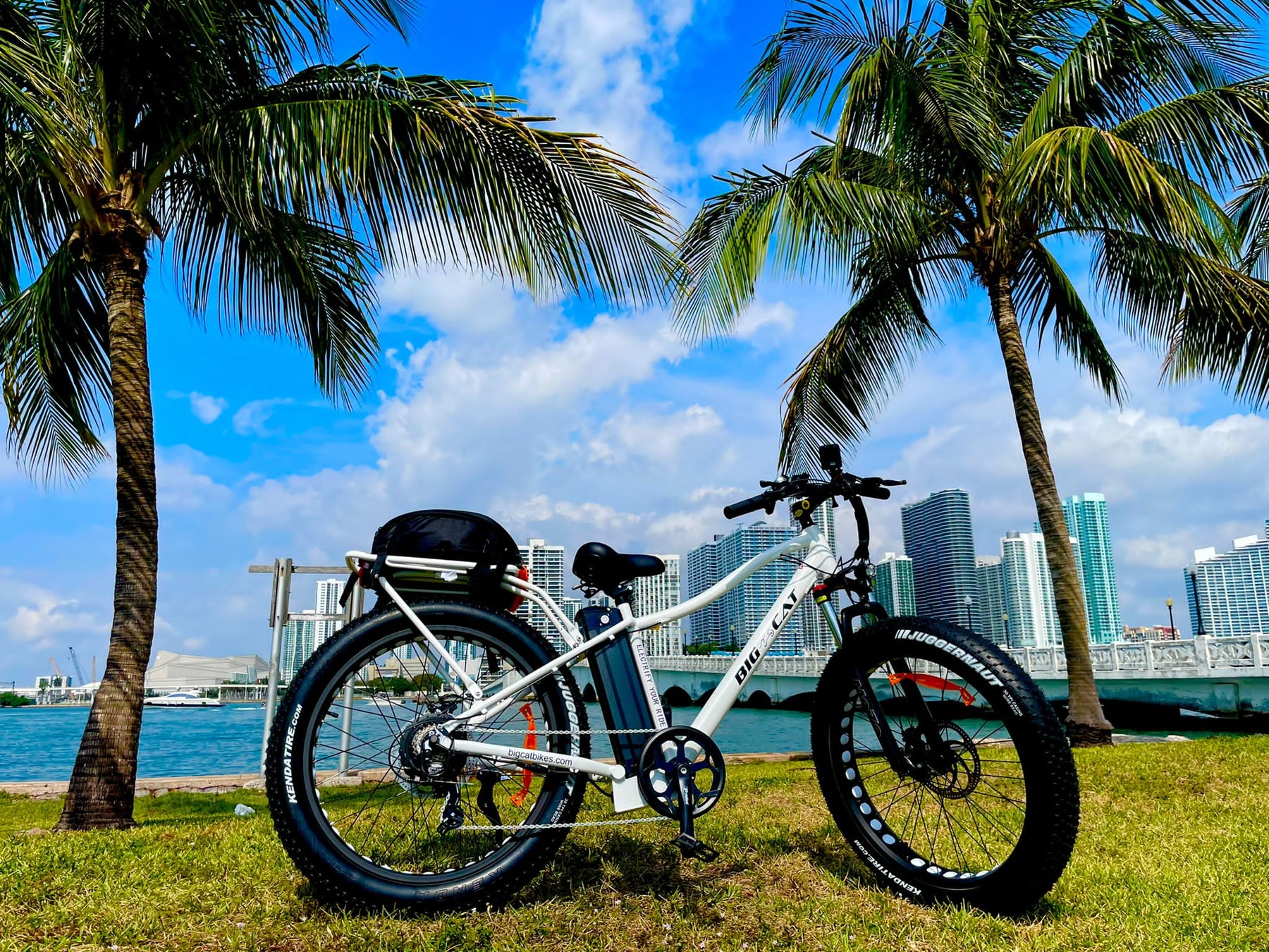 BIG CAT® 2021 Fat Cat XXL 750 Fat Tire Electric Bicycle