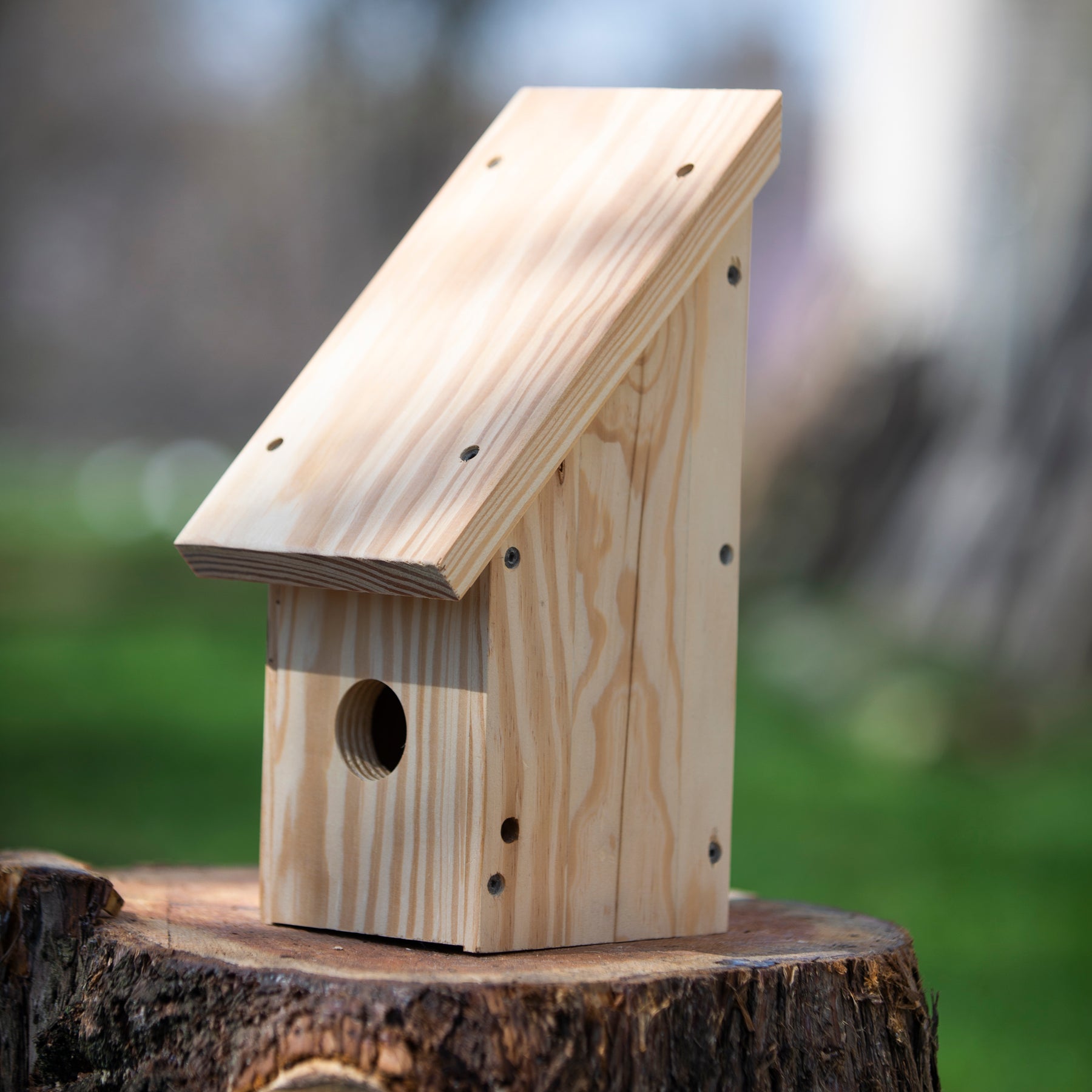 Wooden Birdhouse Kit Mutual Adoration + POST