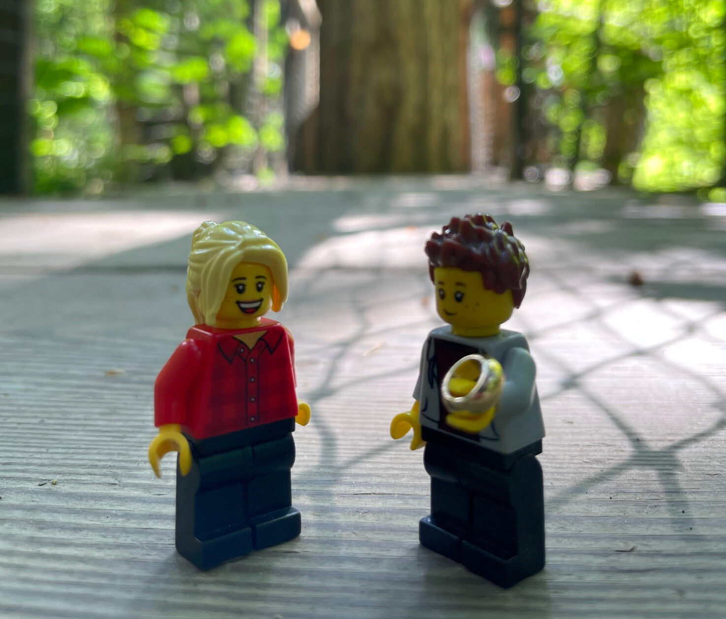 Lego Proposal Lesbian Wedding
