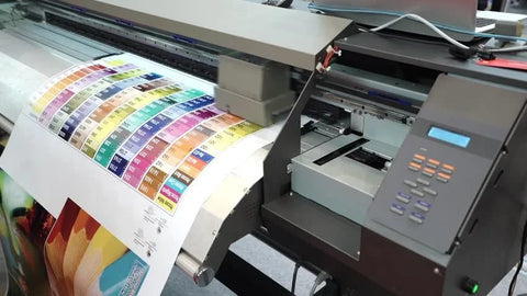 What is a plotter, and how does it differ from a traditional printer?