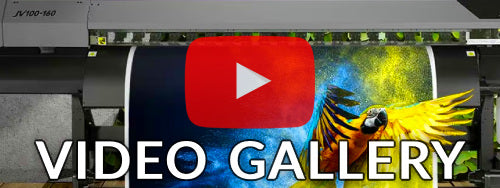 Video Gallery