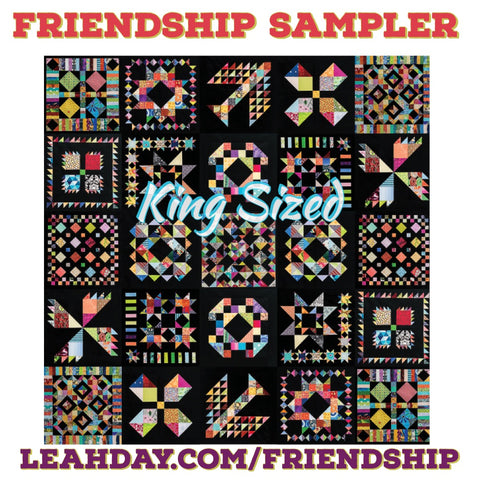 Friendship Sampler King Sized Quilt