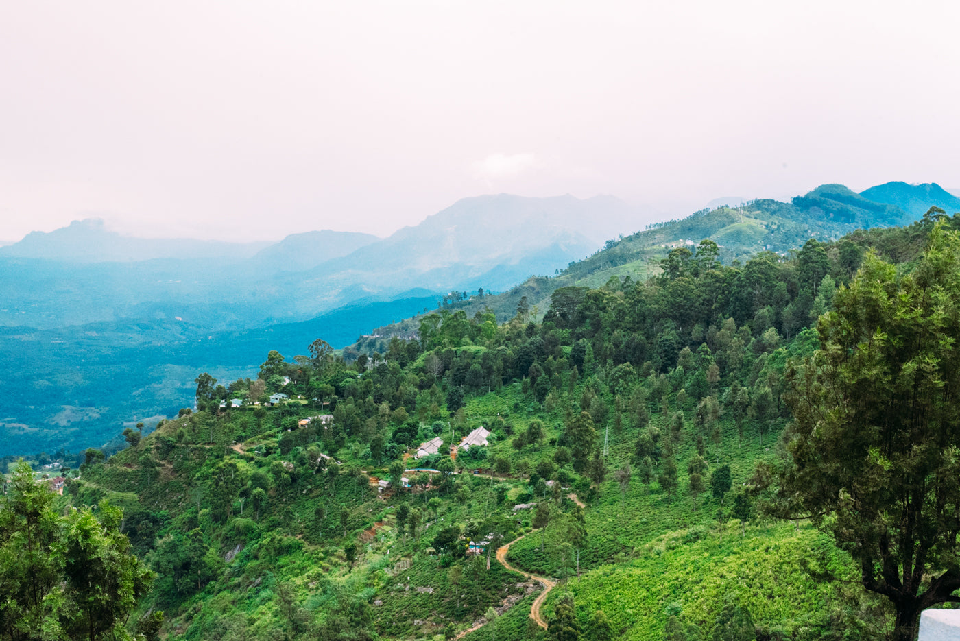 View over the highlands in Nuwara Eliya, Sri Lanka