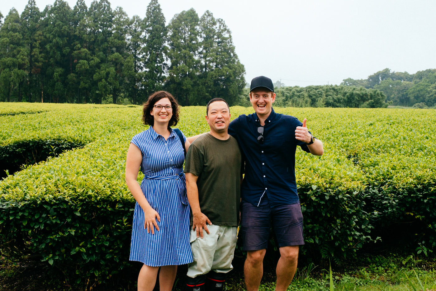 Anna, Ken & Alan amongst the organic Japanese tea farm