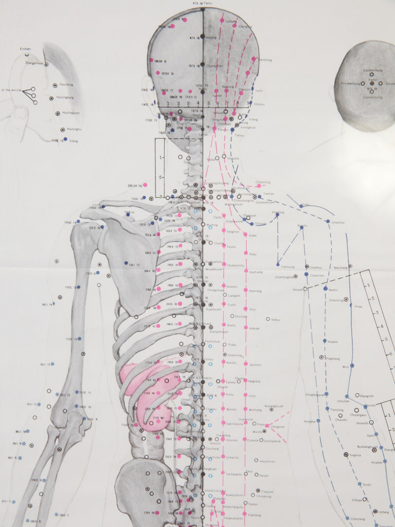 Framed Acupuncture Charts Drew Pritchard Ltd