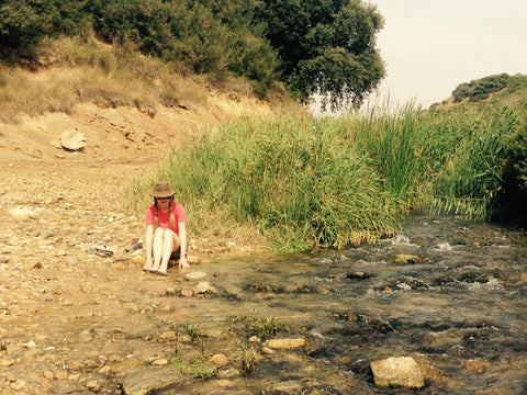  River Salado on the way into Lorca on the Camino