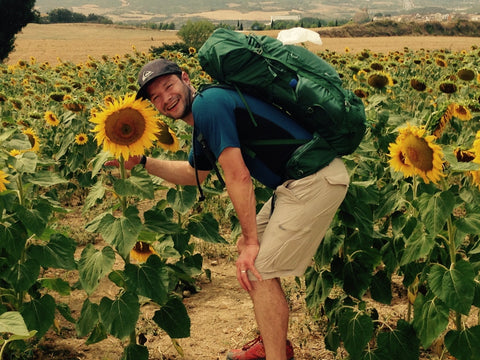 Sunflowers on the Camino