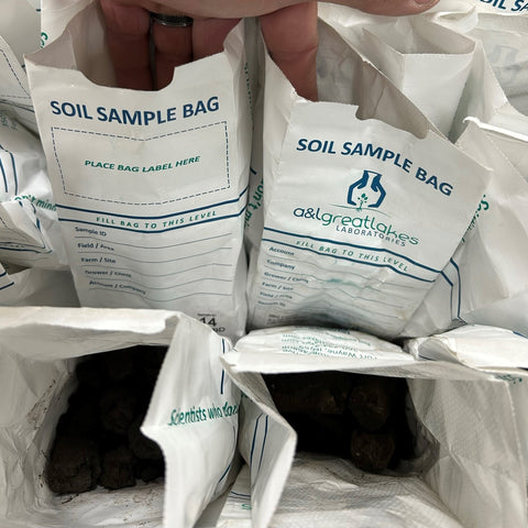 Soil sample Layout
