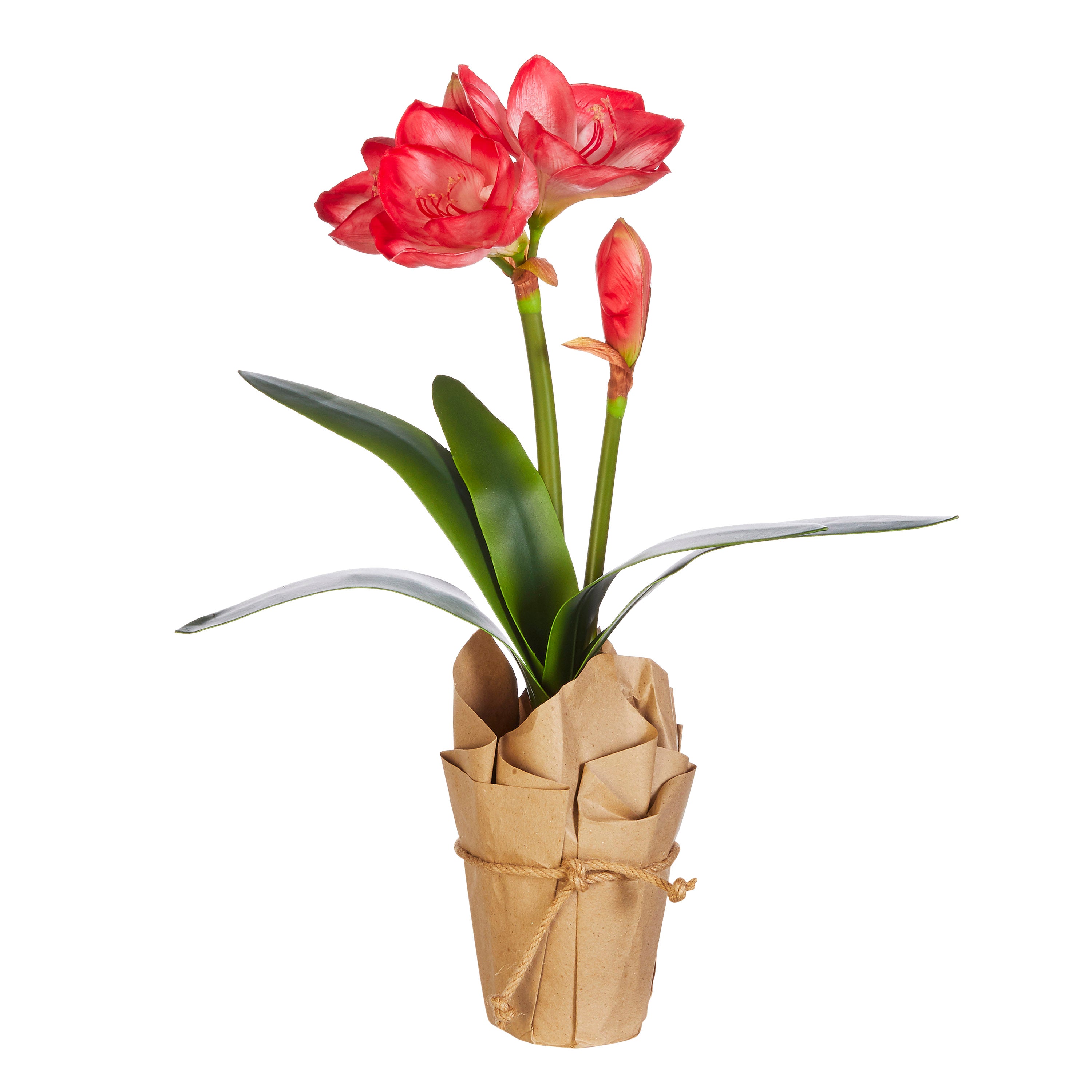 Red Real Touch Paper Potted Amaryllis