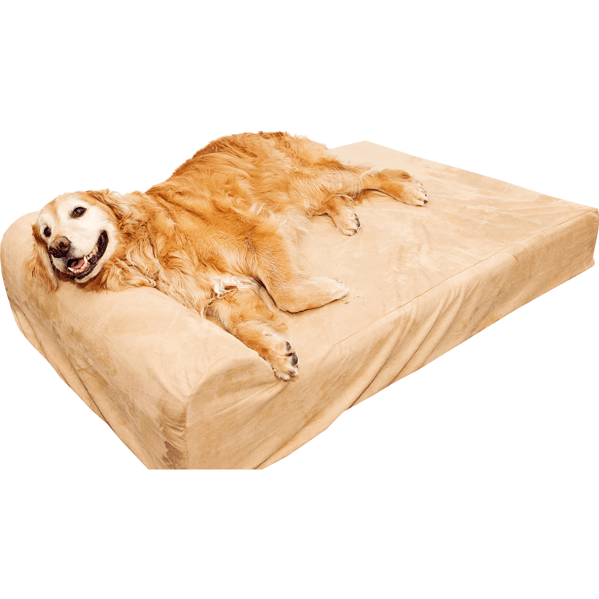 discount dog beds extra large